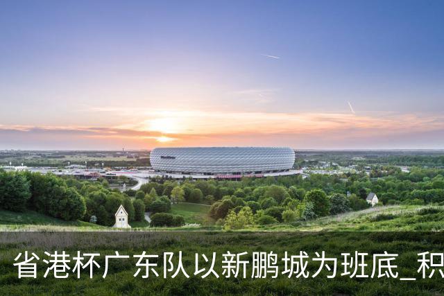省港杯广东队以新鹏城为班底 积极协调拜合拉木参赛